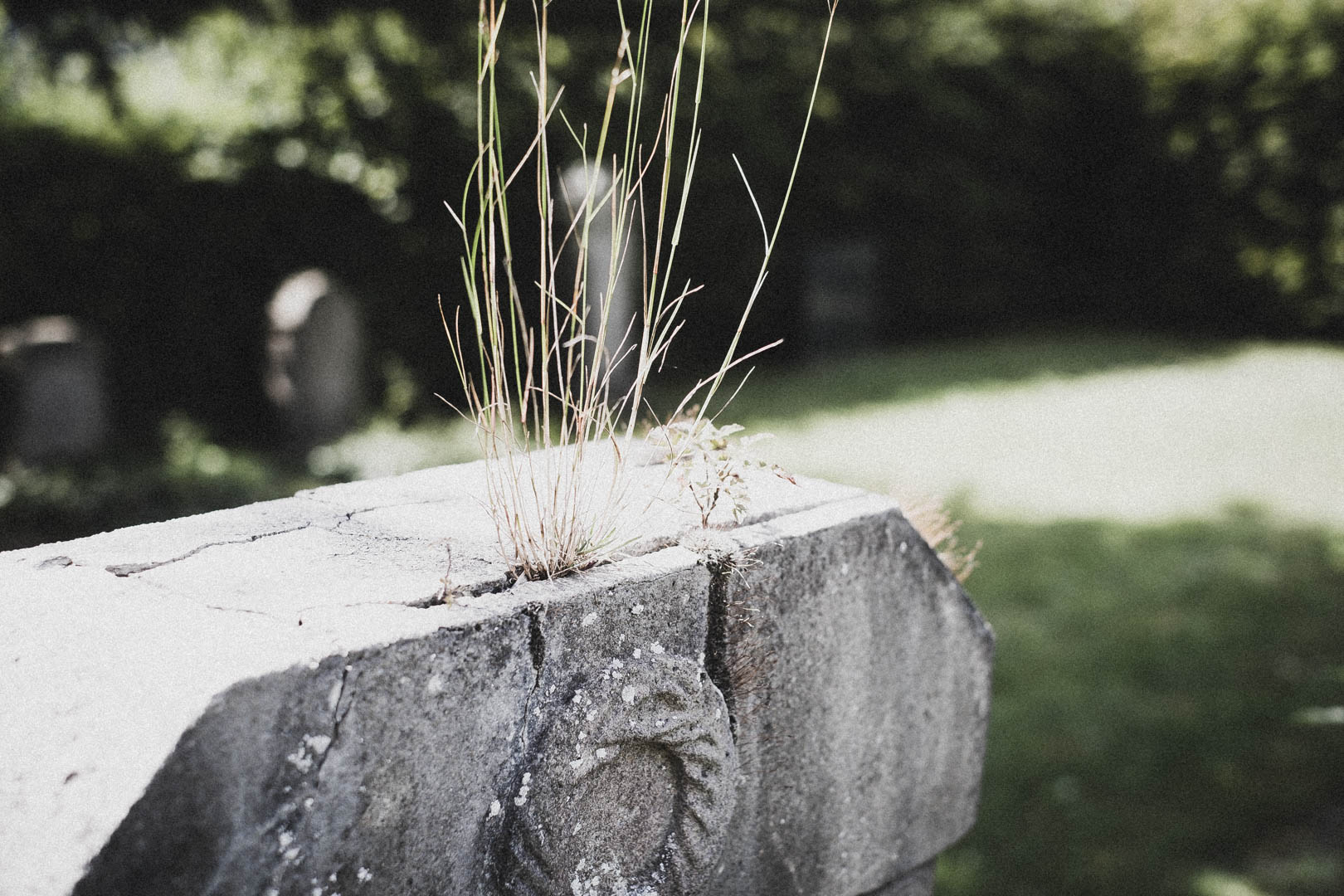 Vlotho, Jüdischer Friedhof